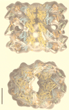 FIG. 12