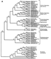 FIG. 10