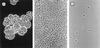FIG. 16