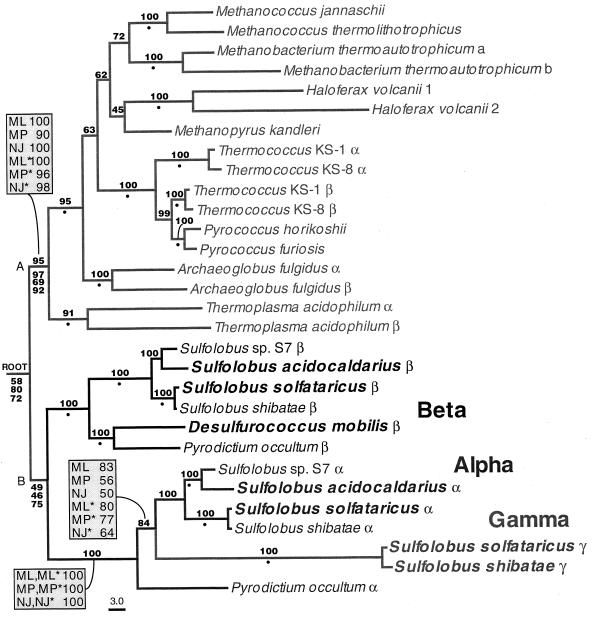 FIG. 14