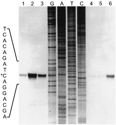 FIG. 18