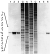 FIG. 18