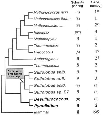 FIG. 15