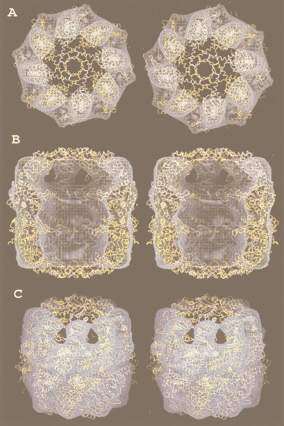 FIG. 13