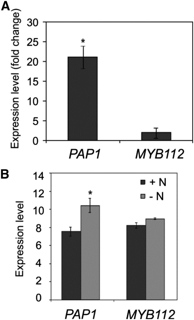 Figure 5.