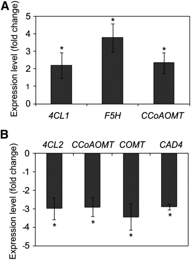 Figure 10.