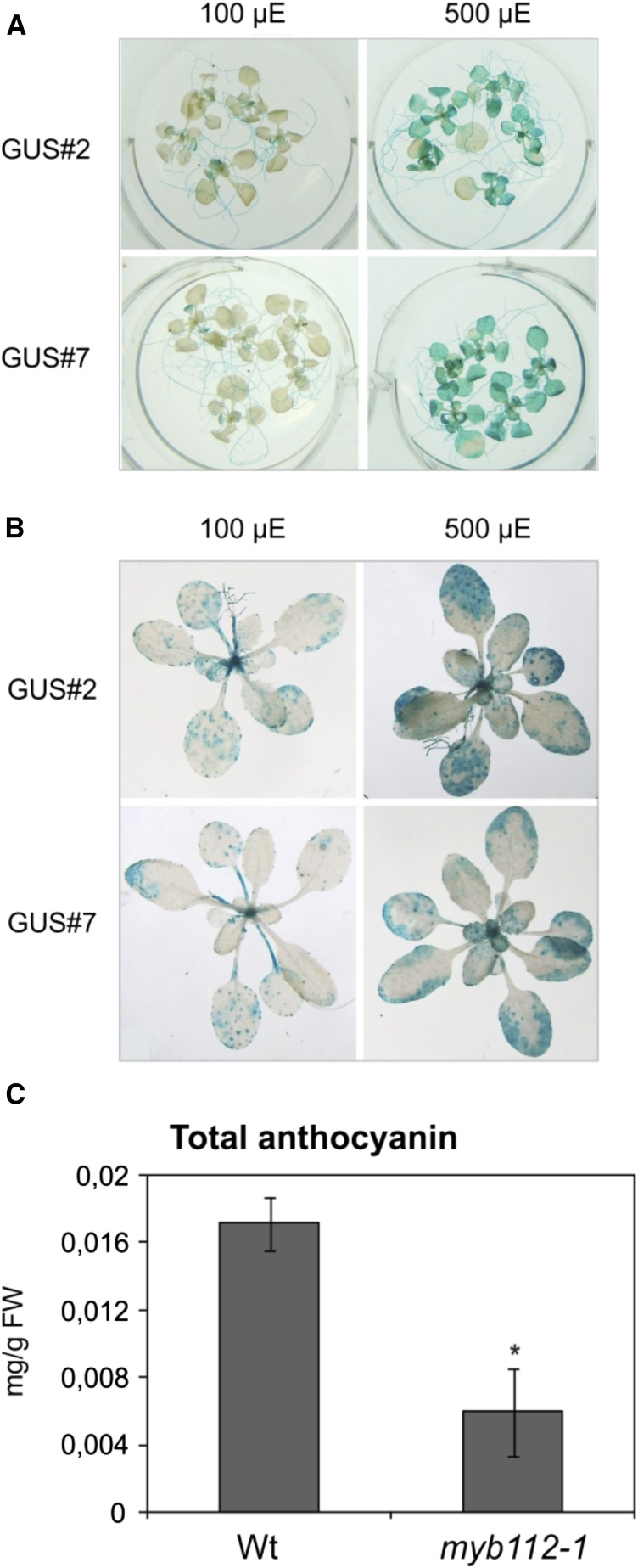 Figure 11.