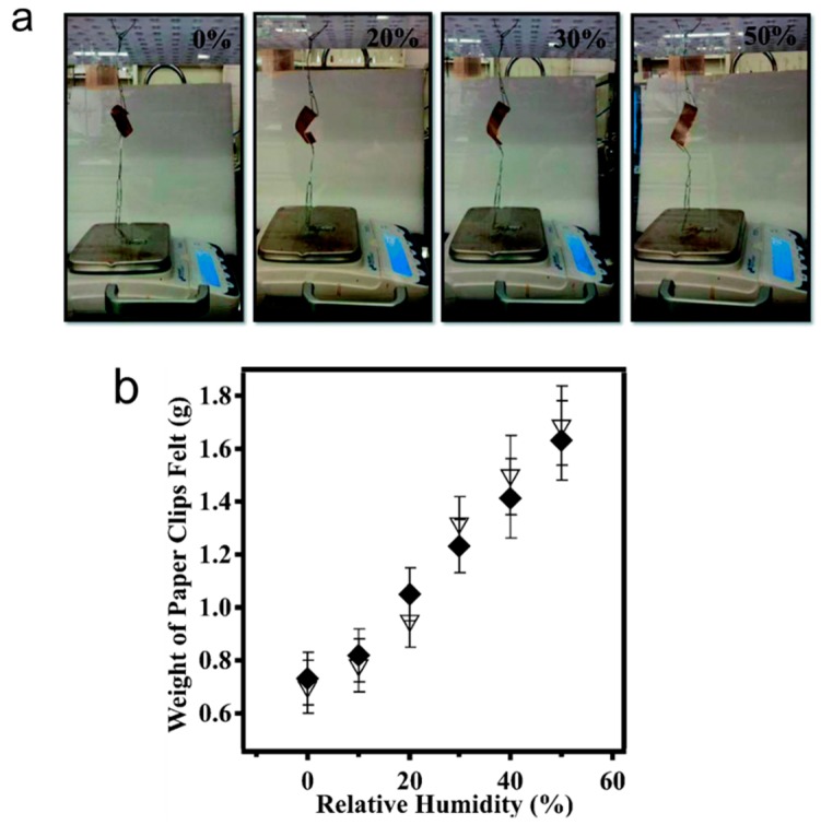 Figure 21