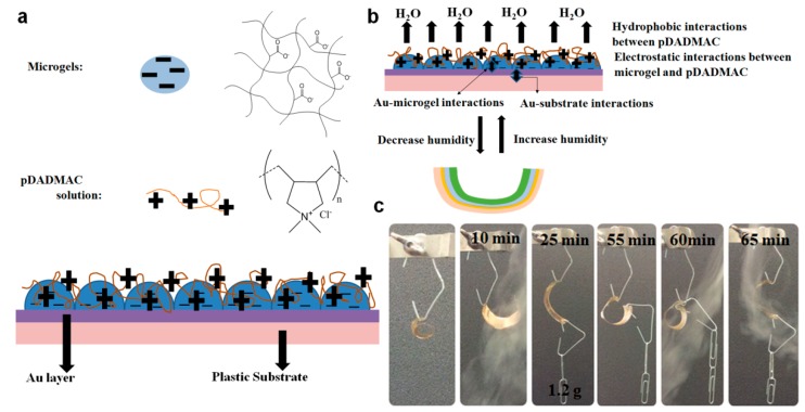 Figure 20