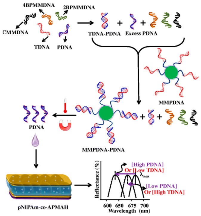 Figure 15