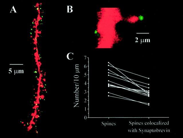 Fig. 7.