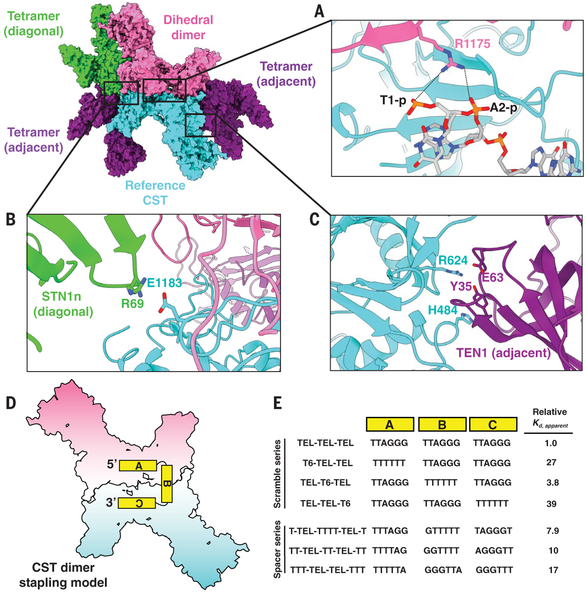 Fig. 4.