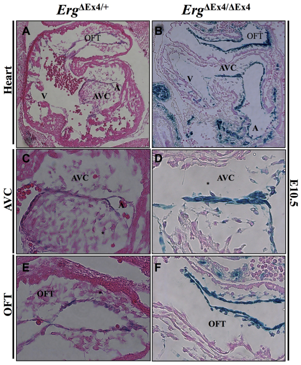 Fig. 9.