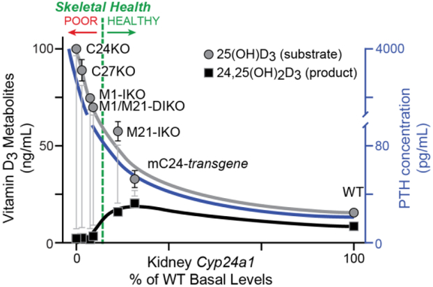 Figure 2: