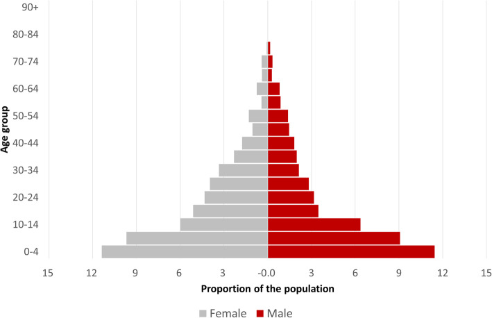 Fig. 3