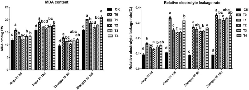 Figure 6.