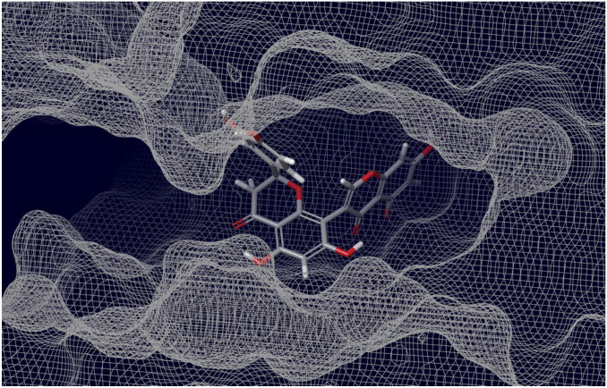 Figure 10