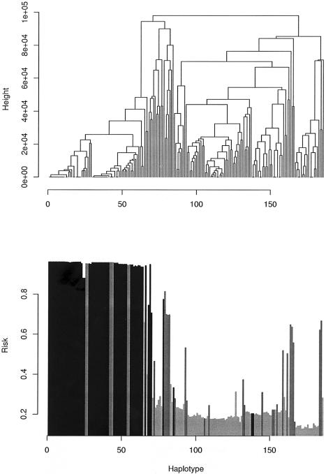 Figure  7