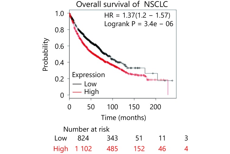 Kaplan–Meier overall survival analysis of ILF2 expression in NSCLC from a public data set (http://kmplot.com/analysis/index.php?p=service&amp;cancer=lung).