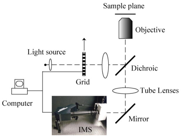 Fig. 1