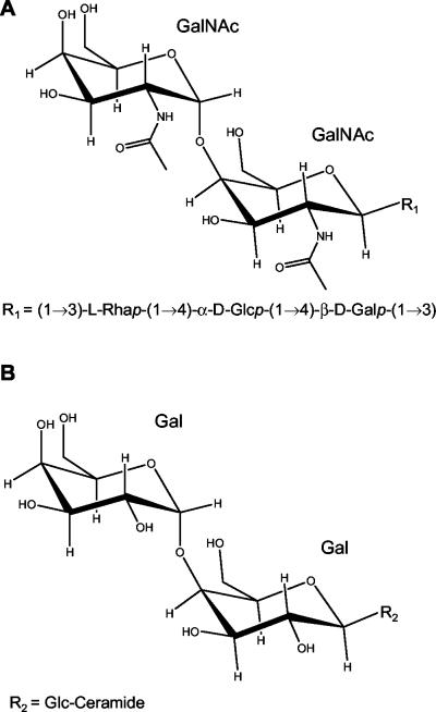 FIG. 7.