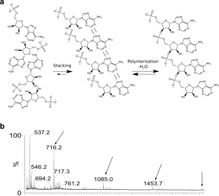 Fig. 7