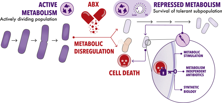 Figure 3