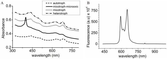 Fig 3