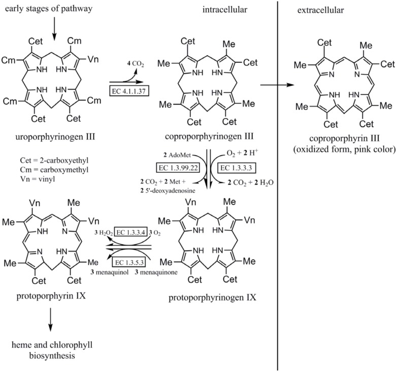 Fig 5