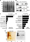 FIG 2