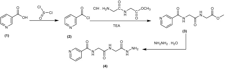 Scheme 1