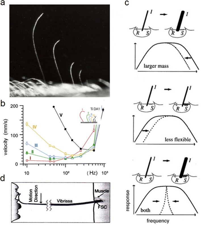 Fig. 4