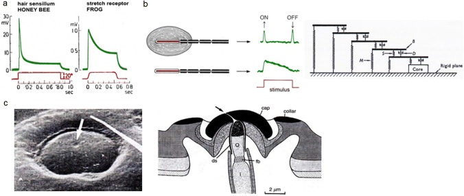 Fig. 2