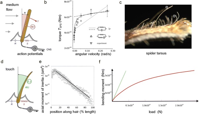 Fig. 1