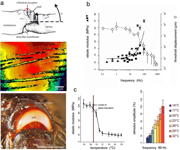 Fig. 3