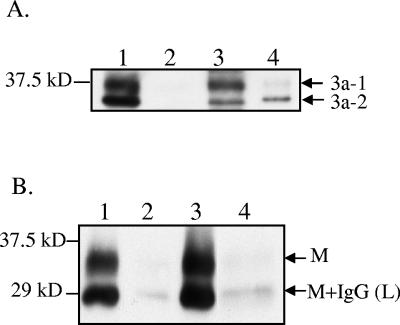 FIG. 5.