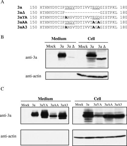 FIG. 6.