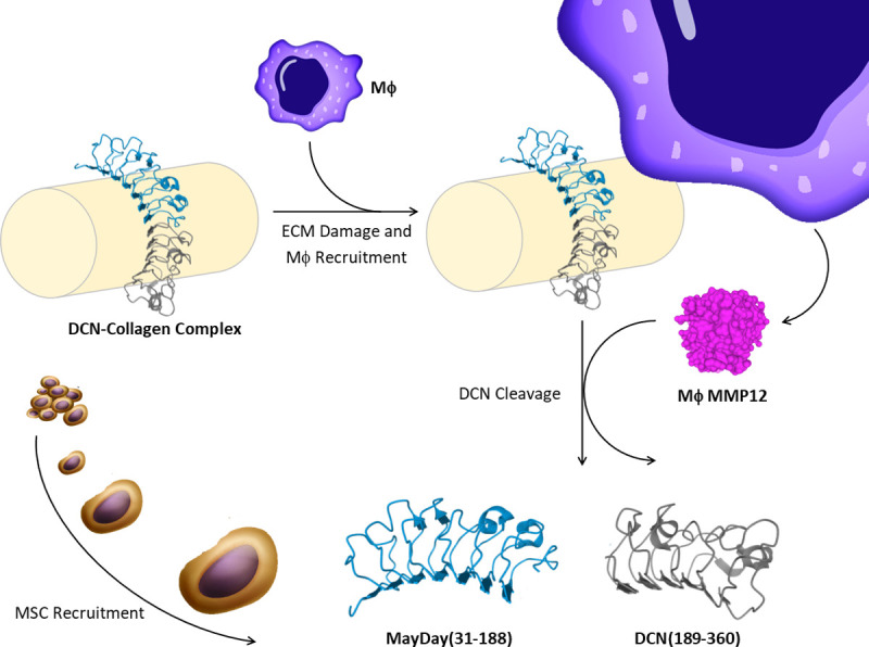 Fig 10