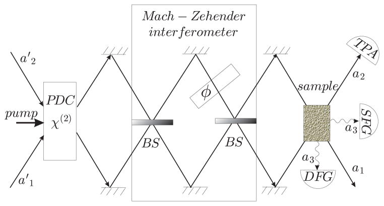 Fig. 3