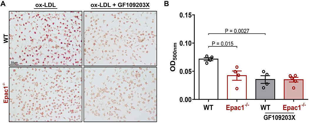 Figure 7.