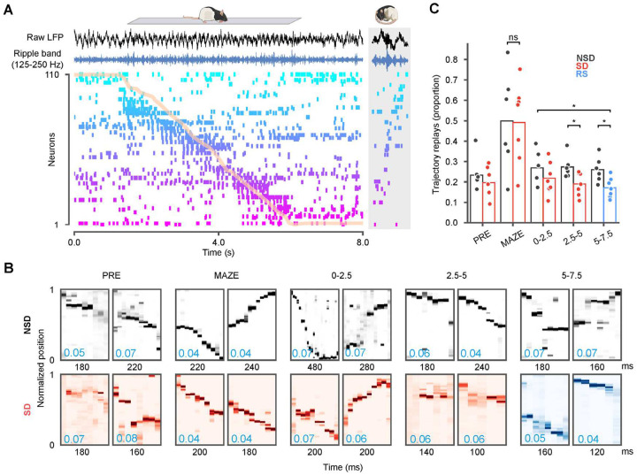 Figure 4: