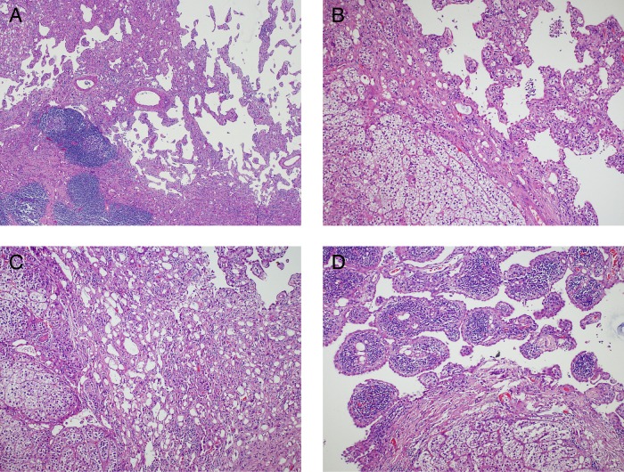 Figure 3