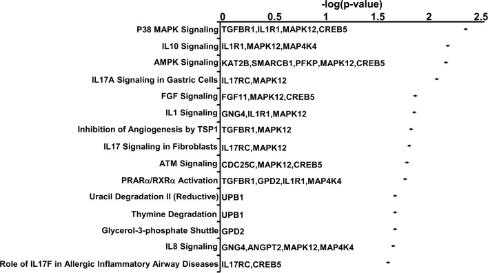 Fig 6