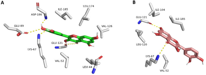 FIGURE 4