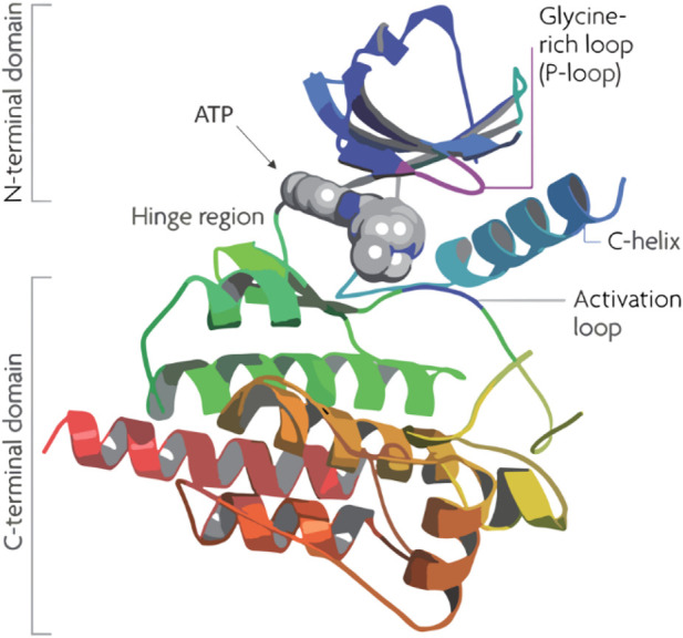 FIGURE 1