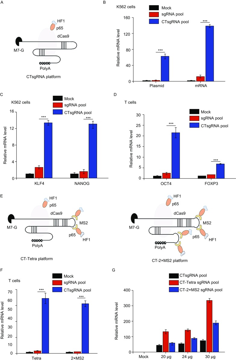 Figure 2