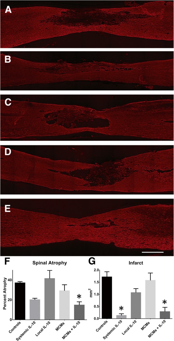 Fig. 12