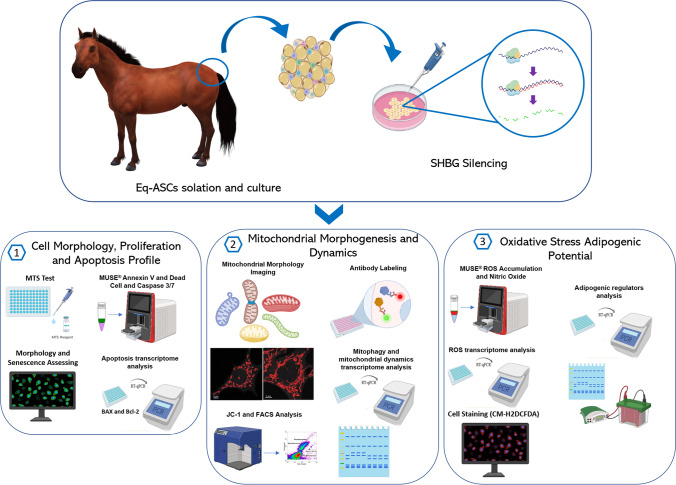 graphic file with name 12015_2023_10580_Figa_HTML.jpg