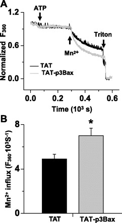 Fig. 5.