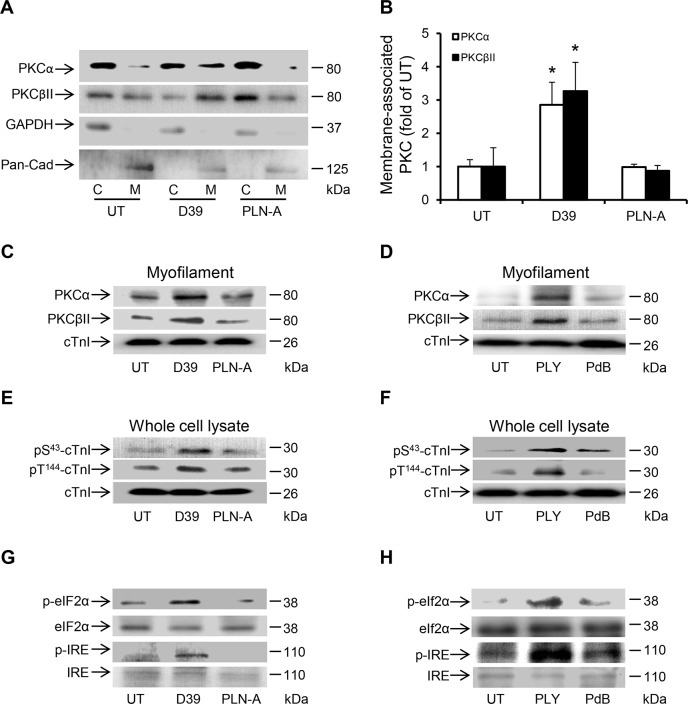 Fig 9